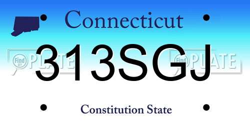 313SGJ Connecticut License Plate