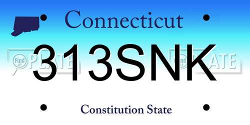 313SNK Connecticut License Plate