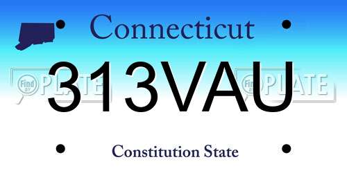 313VAU Connecticut License Plate
