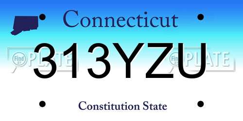 313YZU Connecticut License Plate
