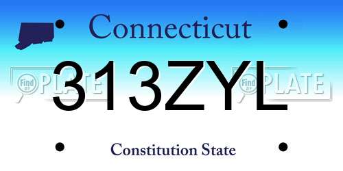 313ZYL Connecticut License Plate