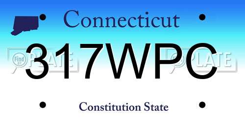 317WPC Connecticut License Plate