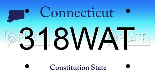 318WAT Connecticut License Plate