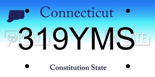 319YMS Connecticut License Plate