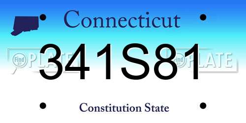 341S81 Connecticut License Plate