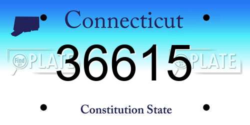 36615 Connecticut License Plate