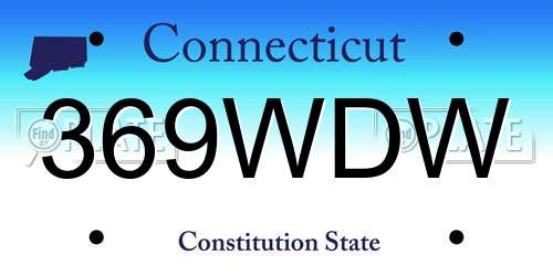 369WDW Connecticut License Plate