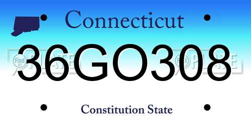 36GO308 Connecticut License Plate