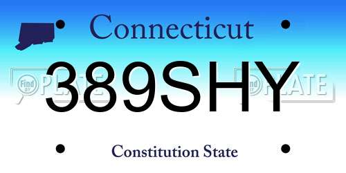 389SHY Connecticut License Plate