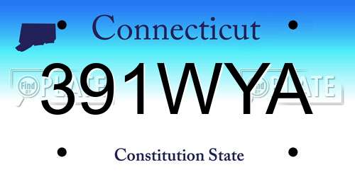 391WYA Connecticut License Plate