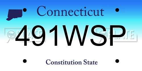 491WSP Connecticut License Plate