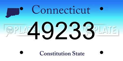 49233 Connecticut License Plate