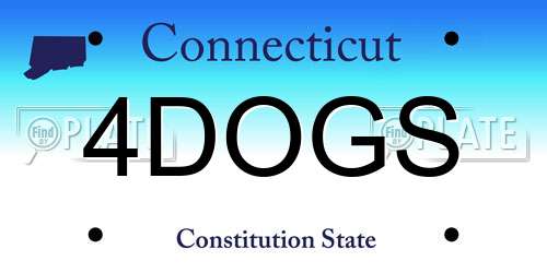 4DOGS Connecticut License Plate
