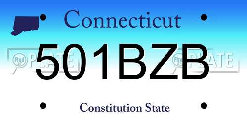 501BZB Connecticut License Plate