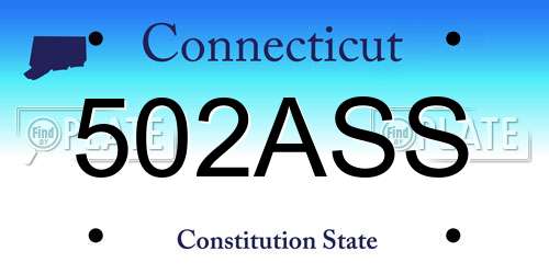 502ASS Connecticut License Plate