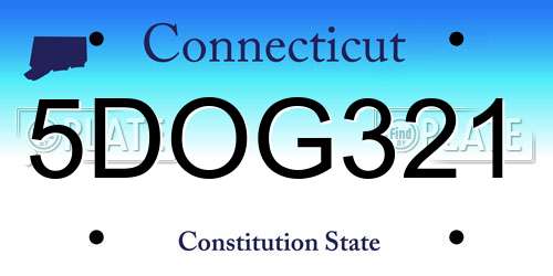 5DOG321 Connecticut License Plate