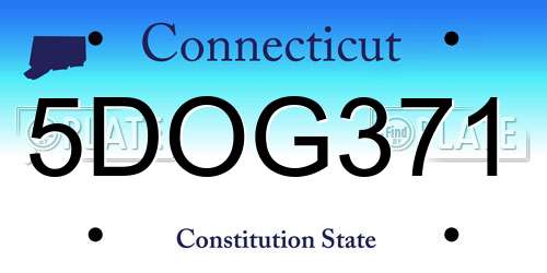 5DOG371 Connecticut License Plate