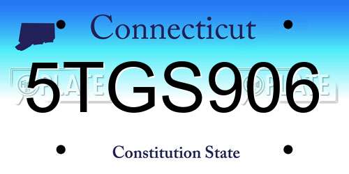 5TGS906 Connecticut License Plate