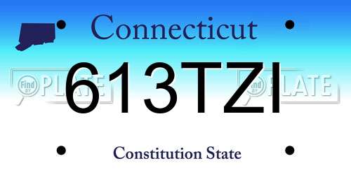 613TZI Connecticut License Plate
