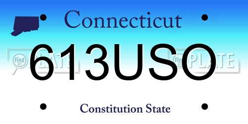 613USO Connecticut License Plate