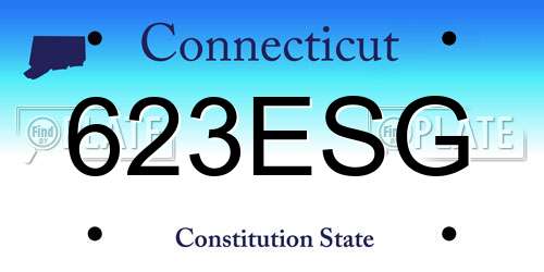 623ESG Connecticut License Plate