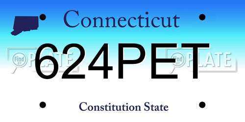 624PET Connecticut License Plate