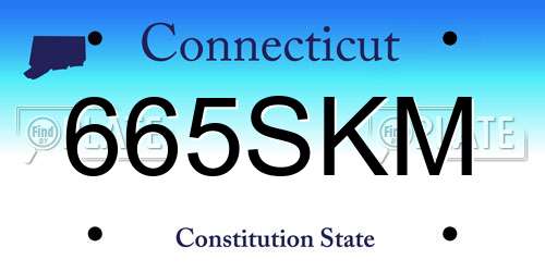 665SKM Connecticut License Plate