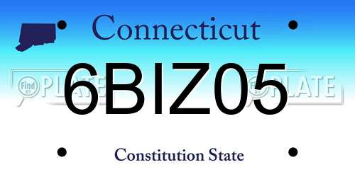 6BIZ05 Connecticut License Plate