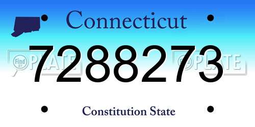 7288273 Connecticut License Plate