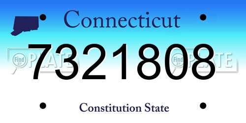 7321808 Connecticut License Plate