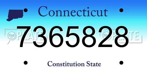 7365828 Connecticut License Plate