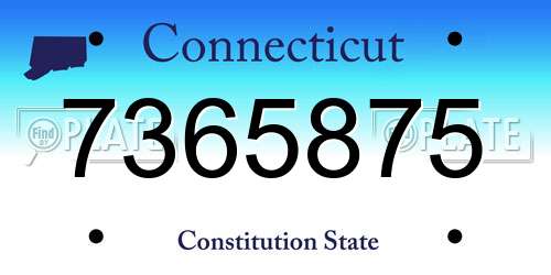 7365875 Connecticut License Plate