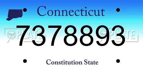 7378893 Connecticut License Plate