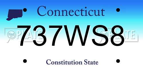 737WS8 Connecticut License Plate