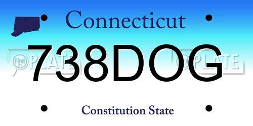 738DOG Connecticut License Plate
