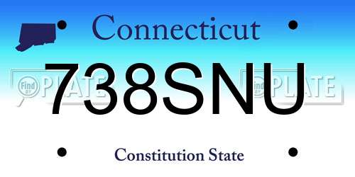 738SNU Connecticut License Plate