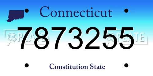 7873255 Connecticut License Plate