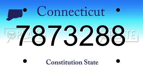 7873288 Connecticut License Plate