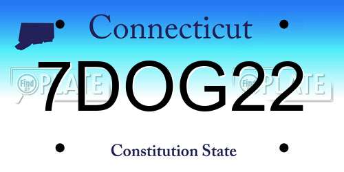 7DOG22 Connecticut License Plate