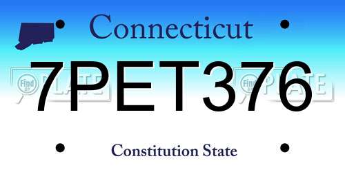 7PET376 Connecticut License Plate