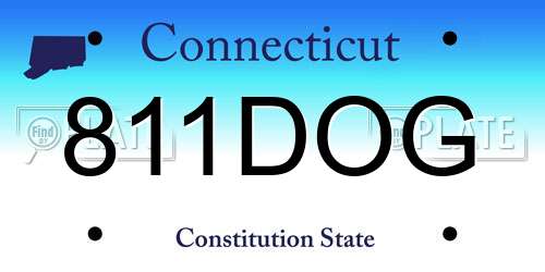 811DOG Connecticut License Plate