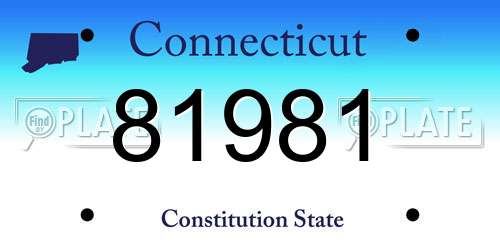 81981 Connecticut License Plate
