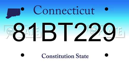 81BT229 Connecticut License Plate