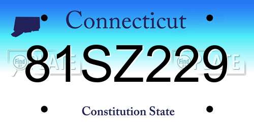 81SZ229 Connecticut License Plate