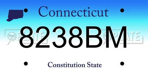 8238BM Connecticut License Plate