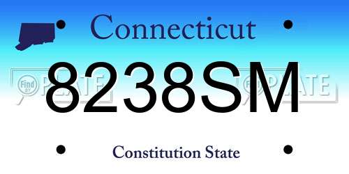 8238SM Connecticut License Plate