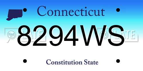 8294WS Connecticut License Plate