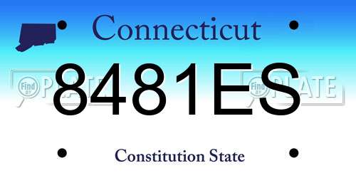 8481ES Connecticut License Plate