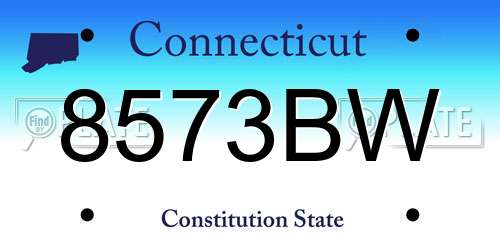 8573BW Connecticut License Plate