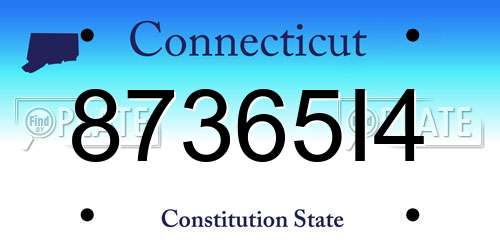 87365I4 Connecticut License Plate
